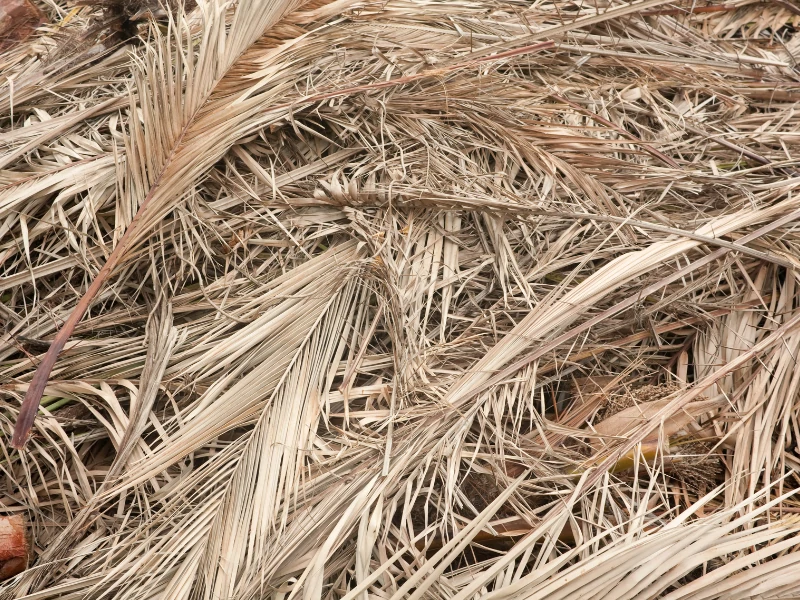 green waste townsville