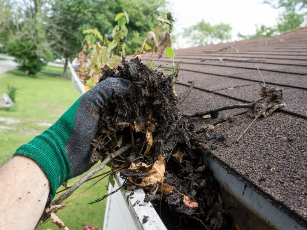 gutter cleaning townsville