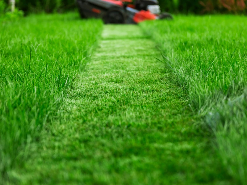 lawn mowing townsville