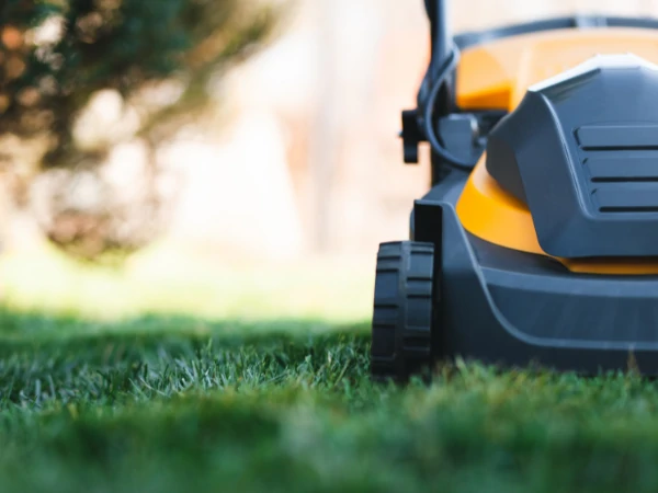 lawn mowing townsville