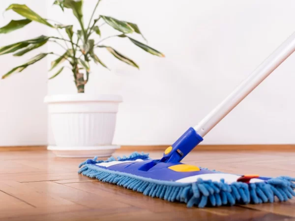 house cleaner townsville